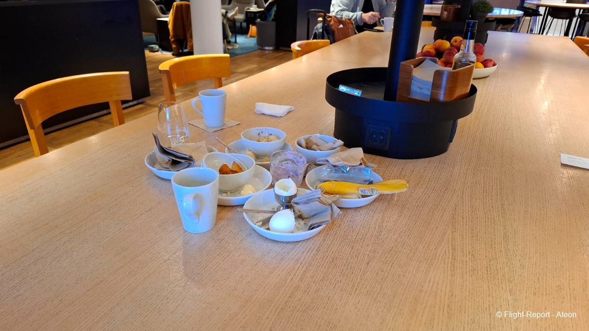 photo 20251129_063604