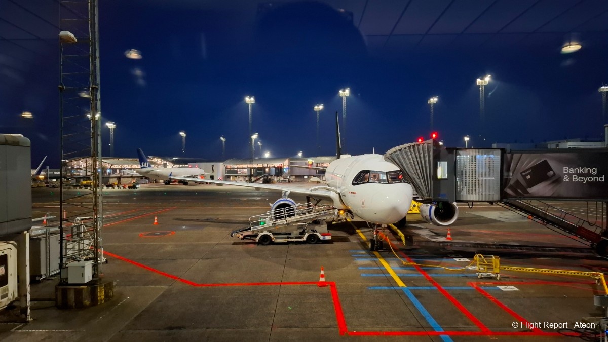 photo 20251129_071553