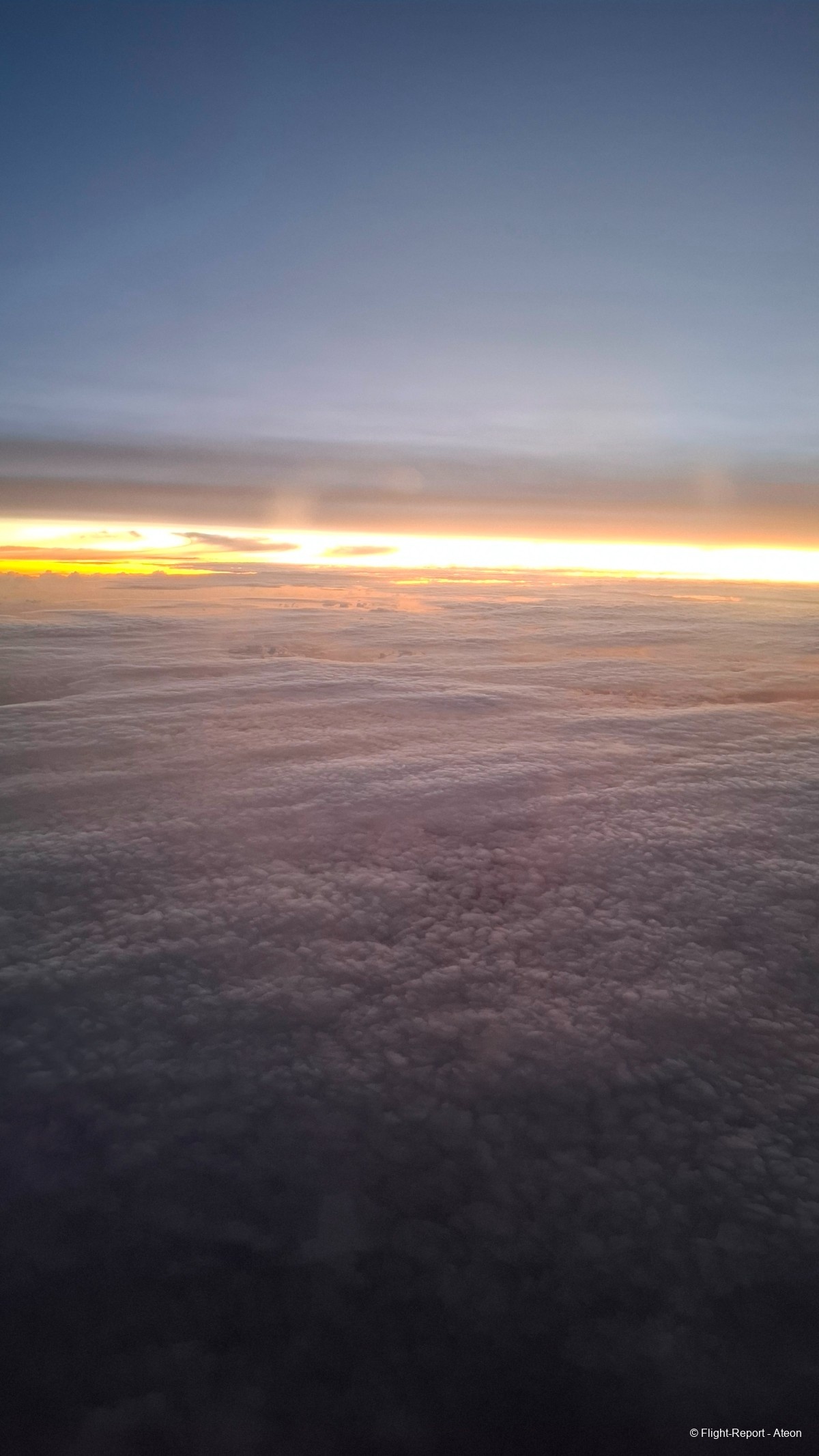 photo 20260305_030529