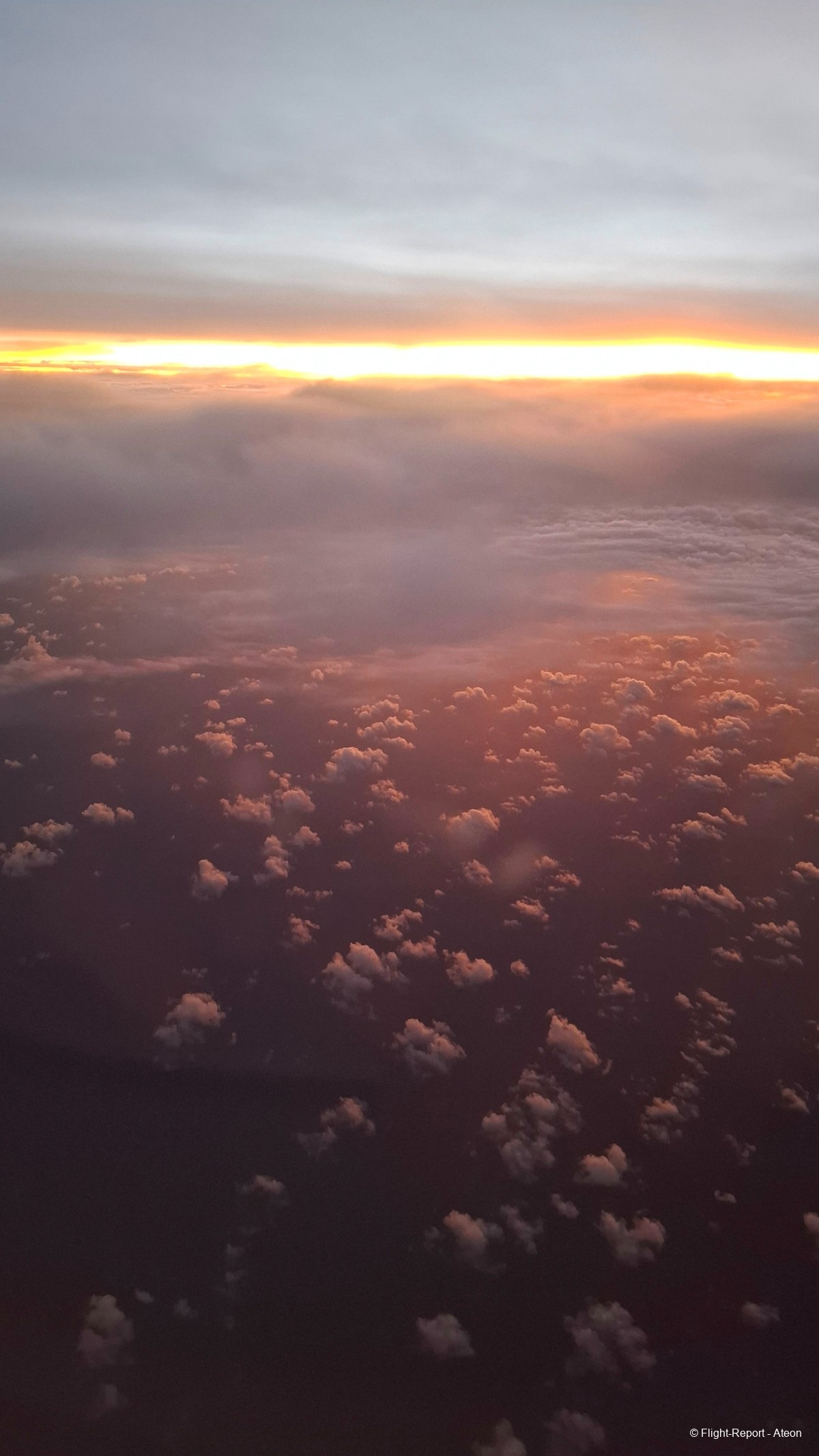 photo 20260305_030916