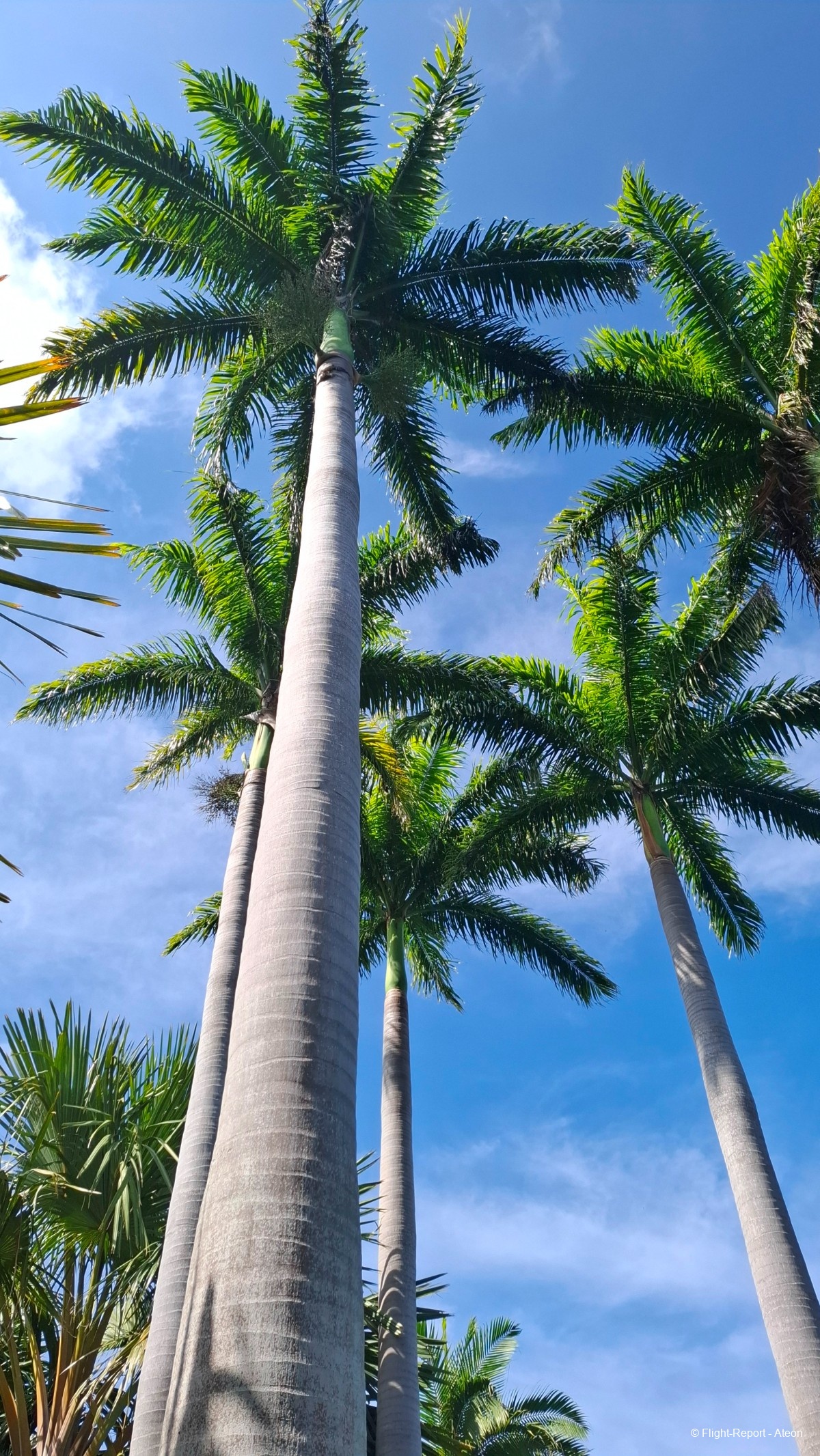 photo 20260305_100440