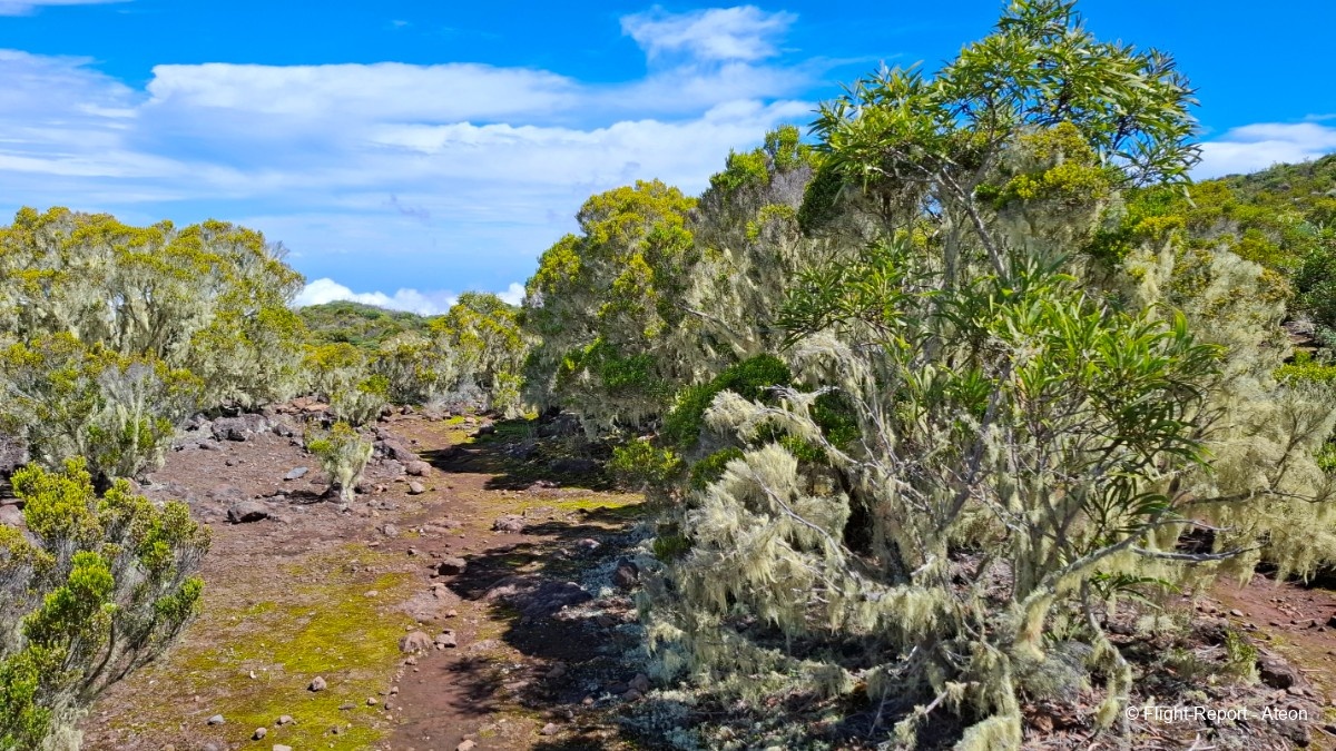 photo 20260306_103215