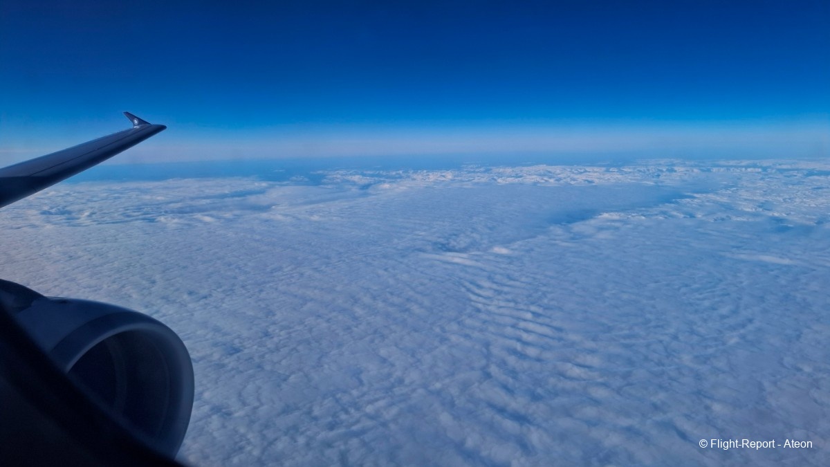 photo 20260124_121815