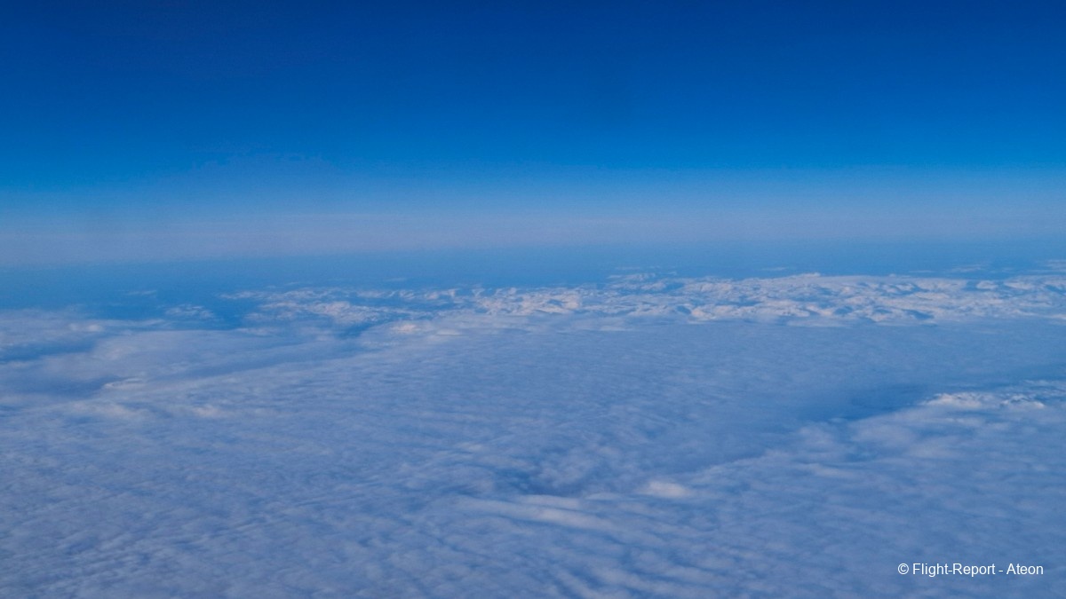 photo 20260124_121822