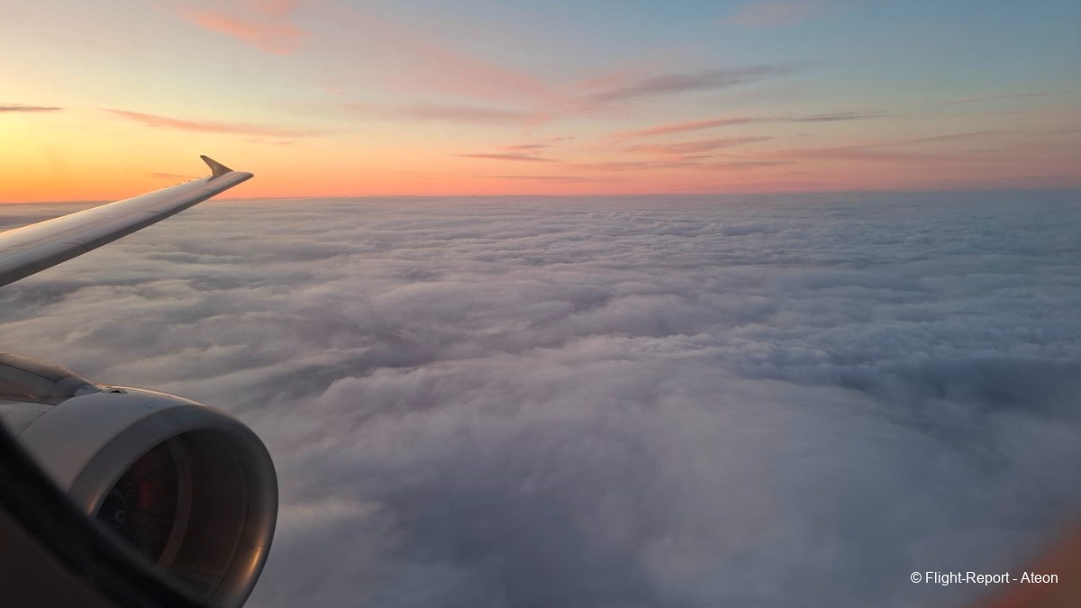 photo 20260124_134924