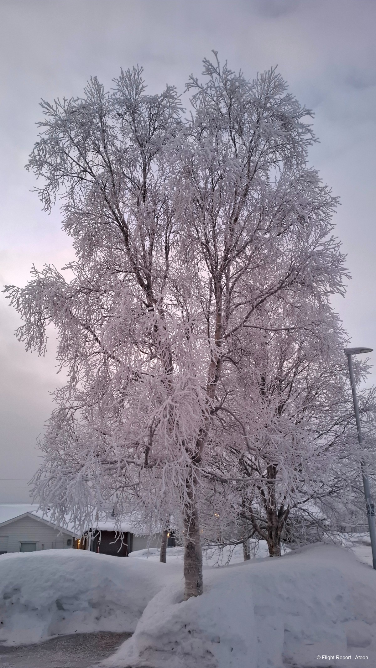 photo 20260124_144317