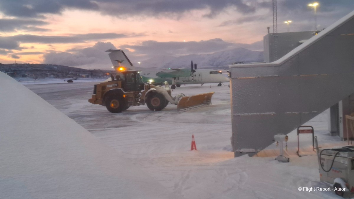 photo 20260126_091801