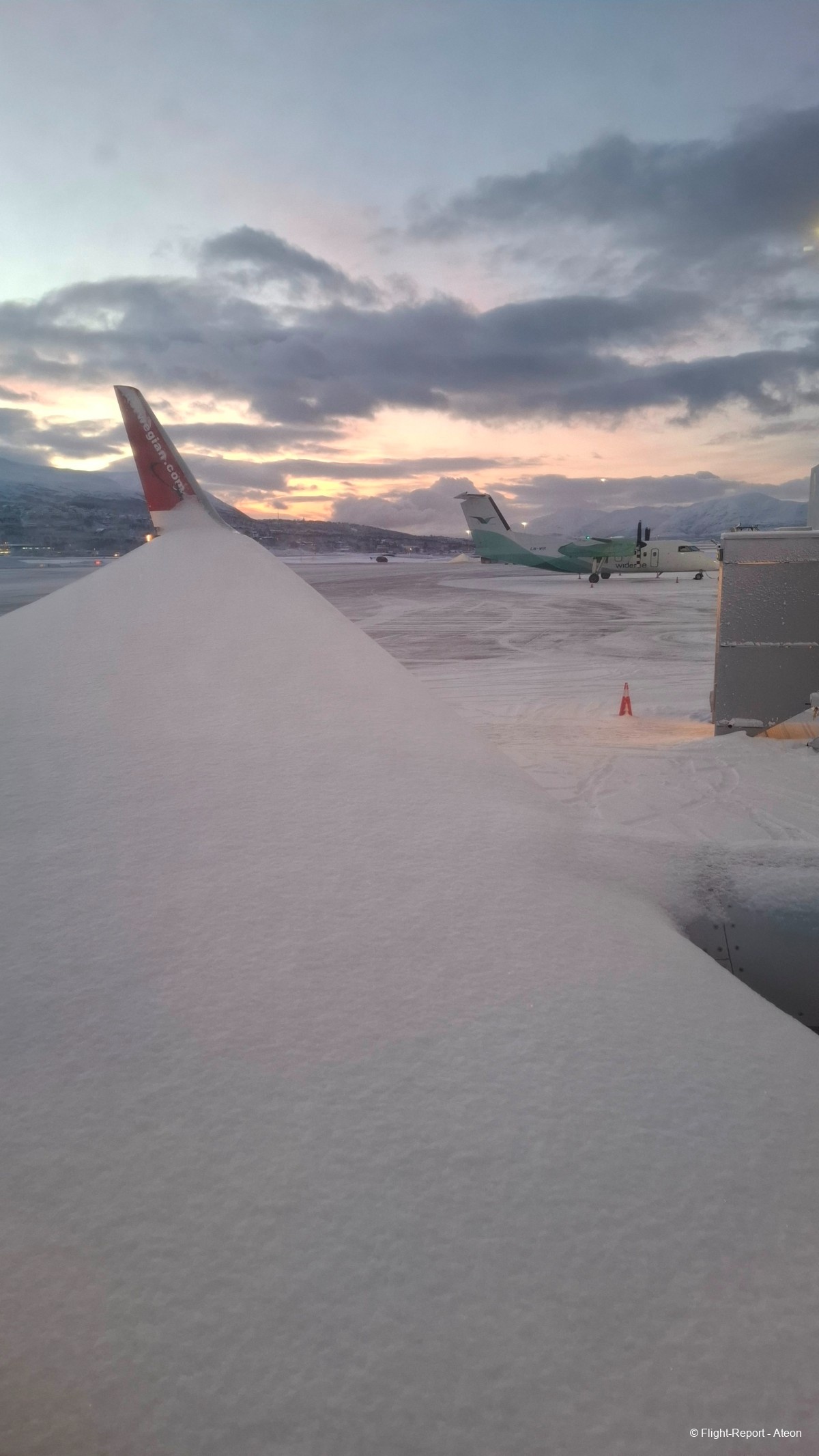 photo 20260126_091820
