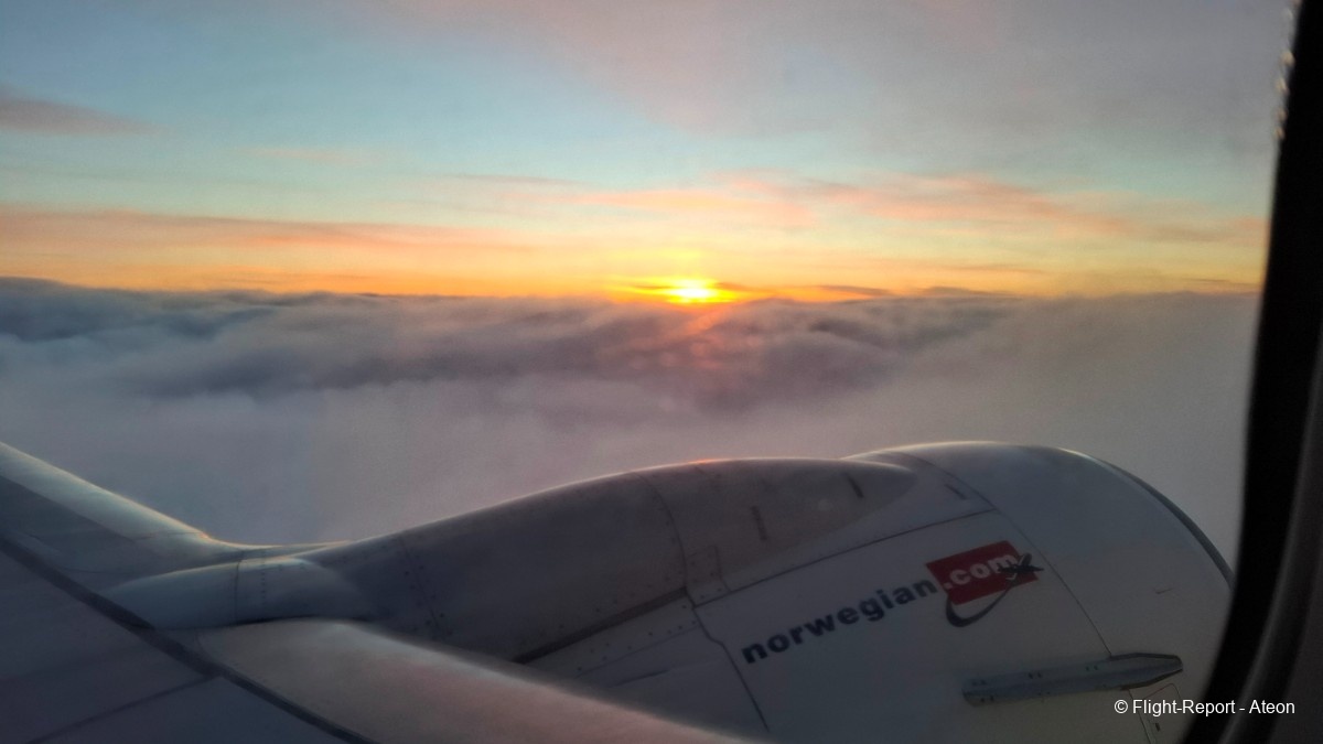 photo 20260126_095446