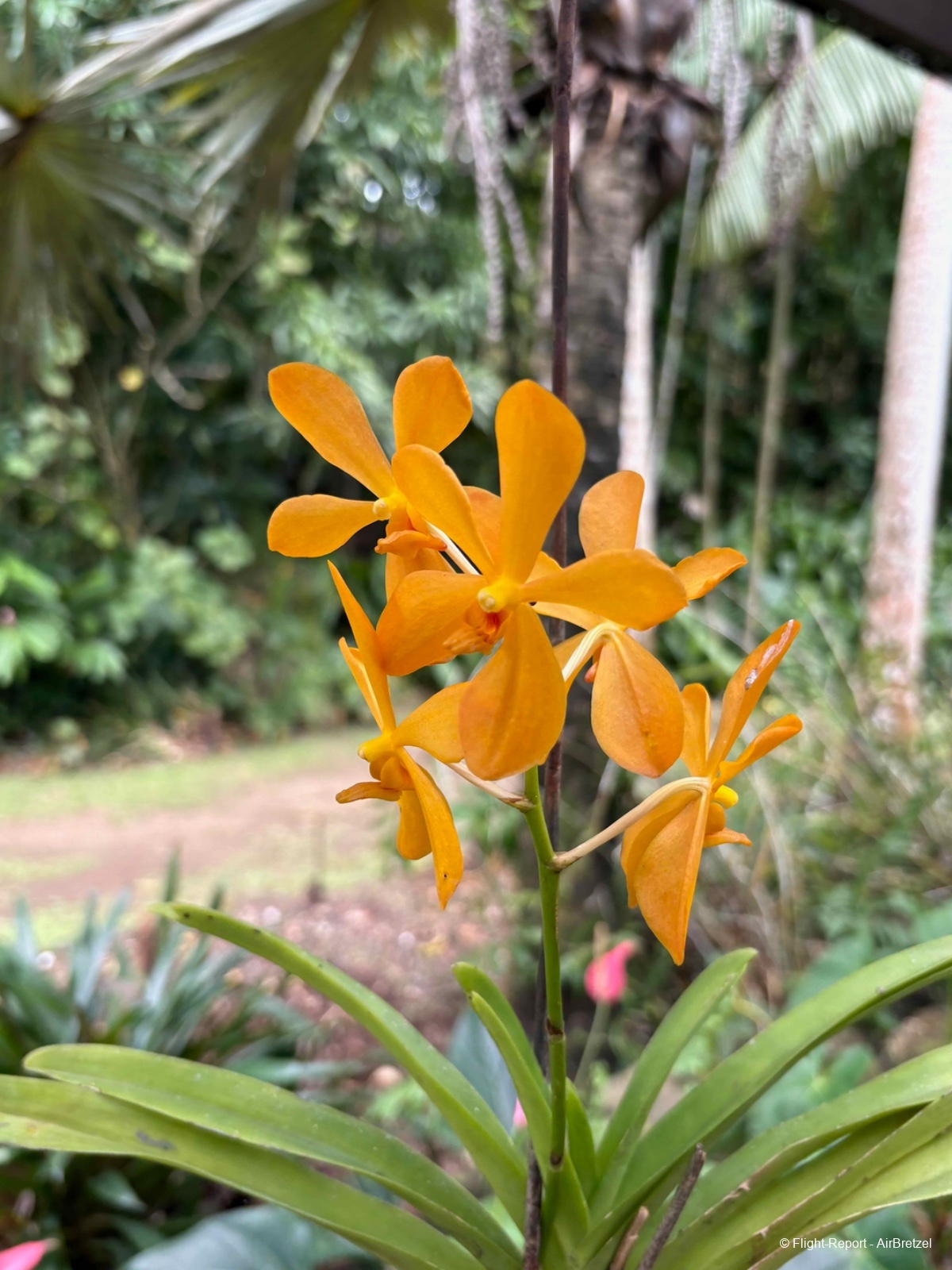 photo tempimagebk7tzg