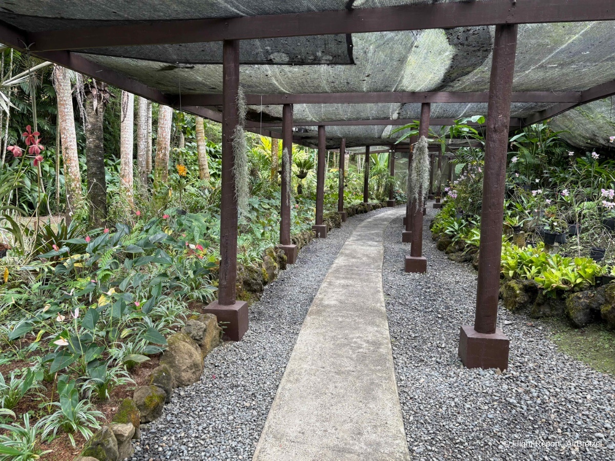 photo tempimagejoc23z