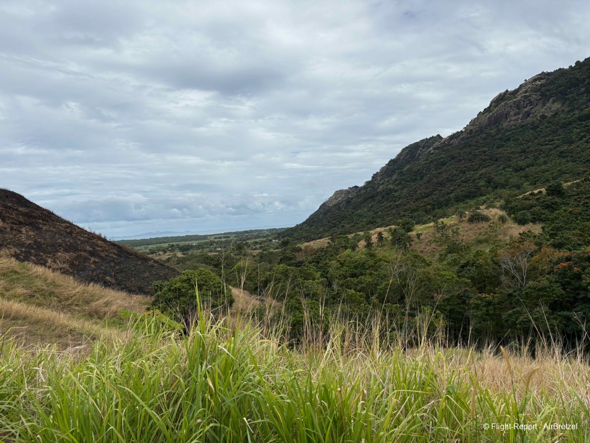 photo tempimagen6linn