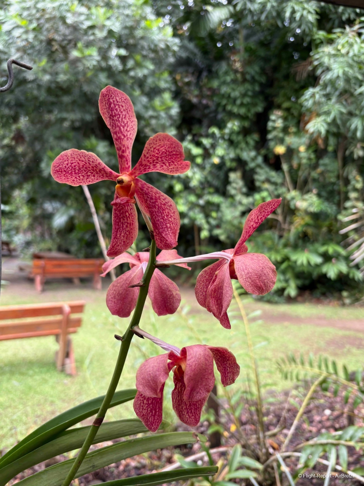 photo tempimagenpaokm