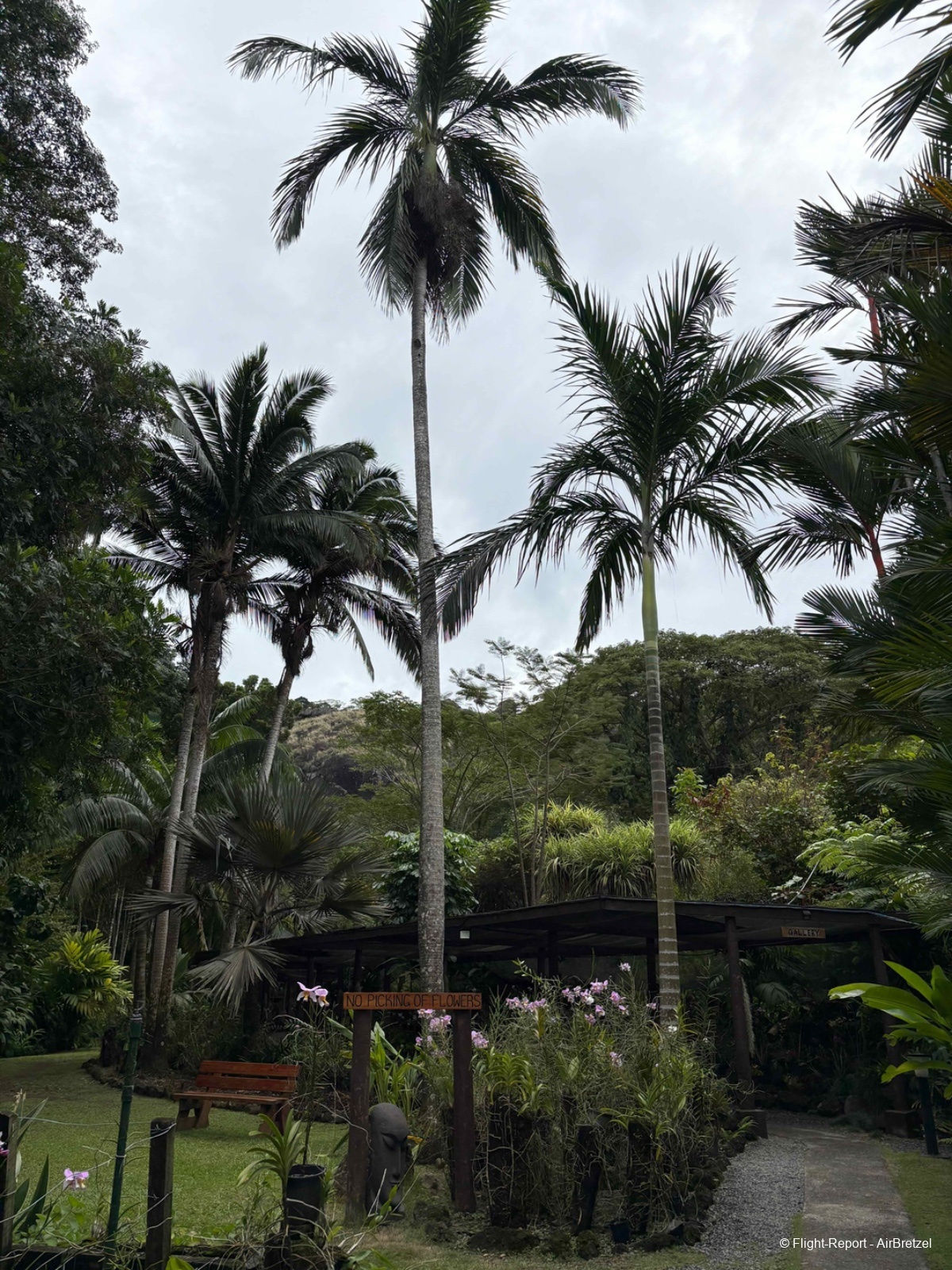 photo tempimagesxav9l