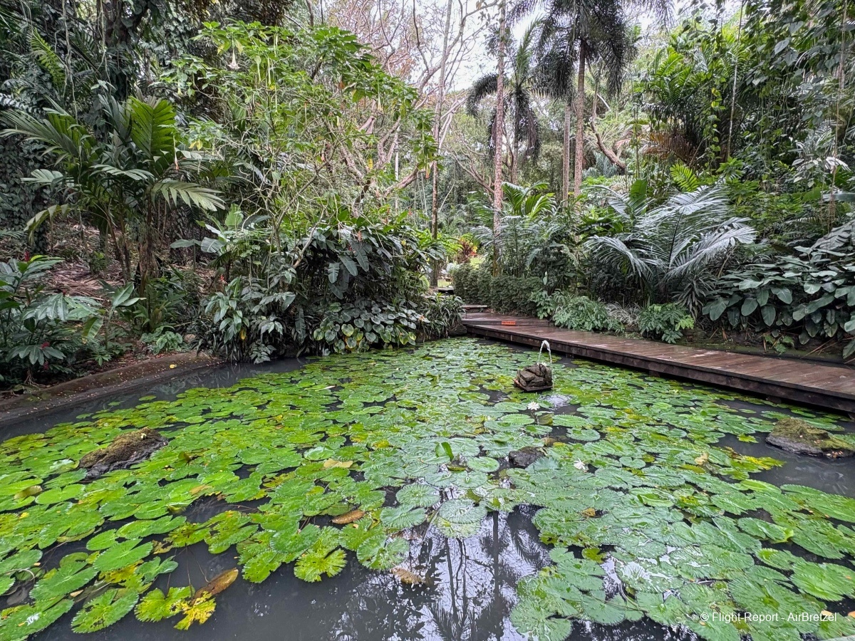 photo tempimagetaciuy