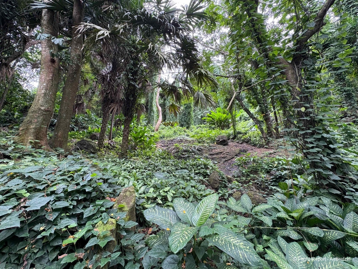 photo tempimagevjkk3n