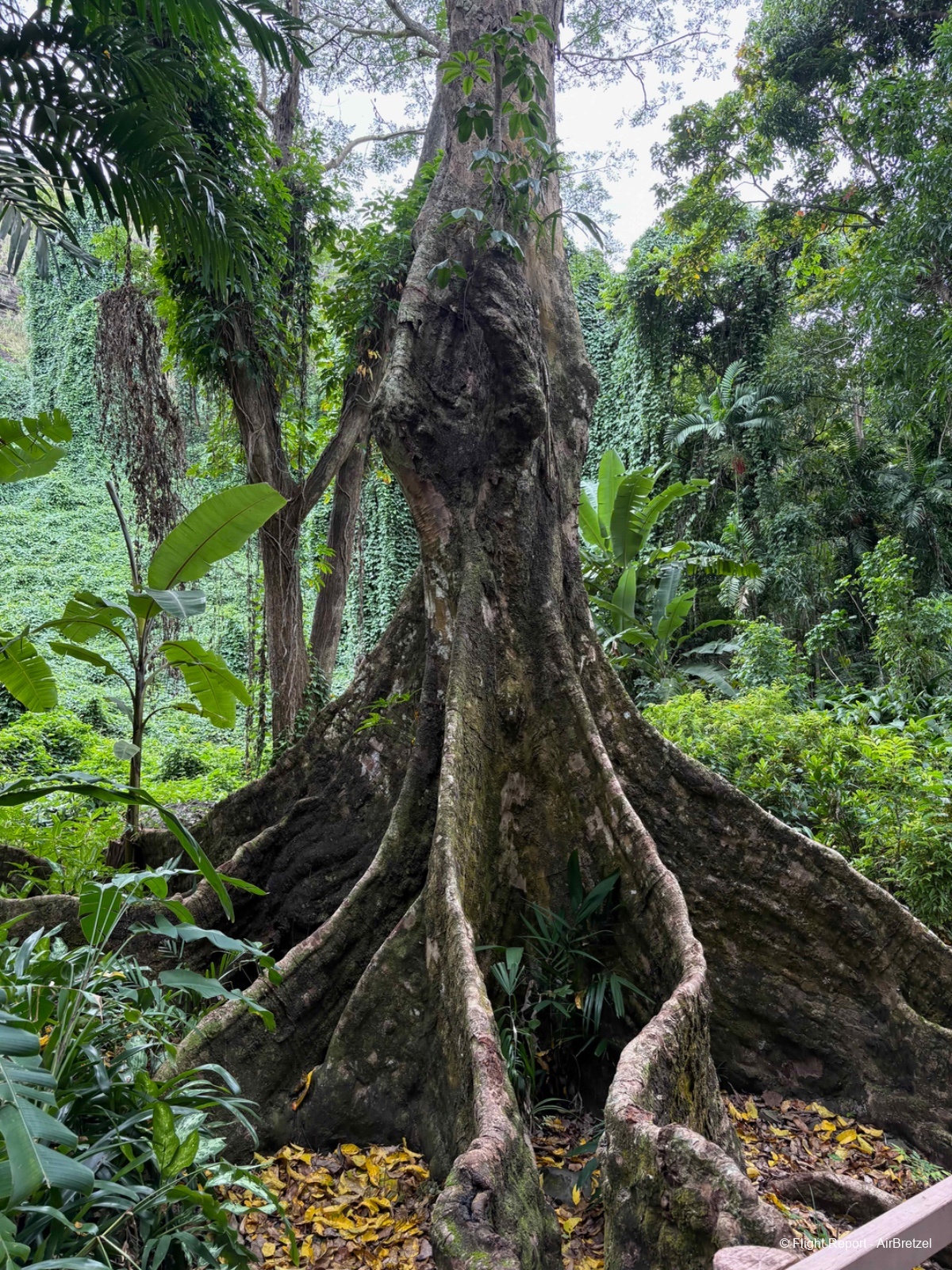 photo tempimagewedomc