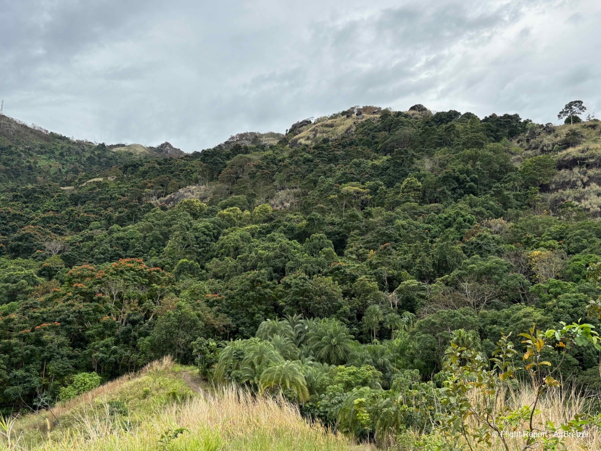 photo tempimagexa9ntf