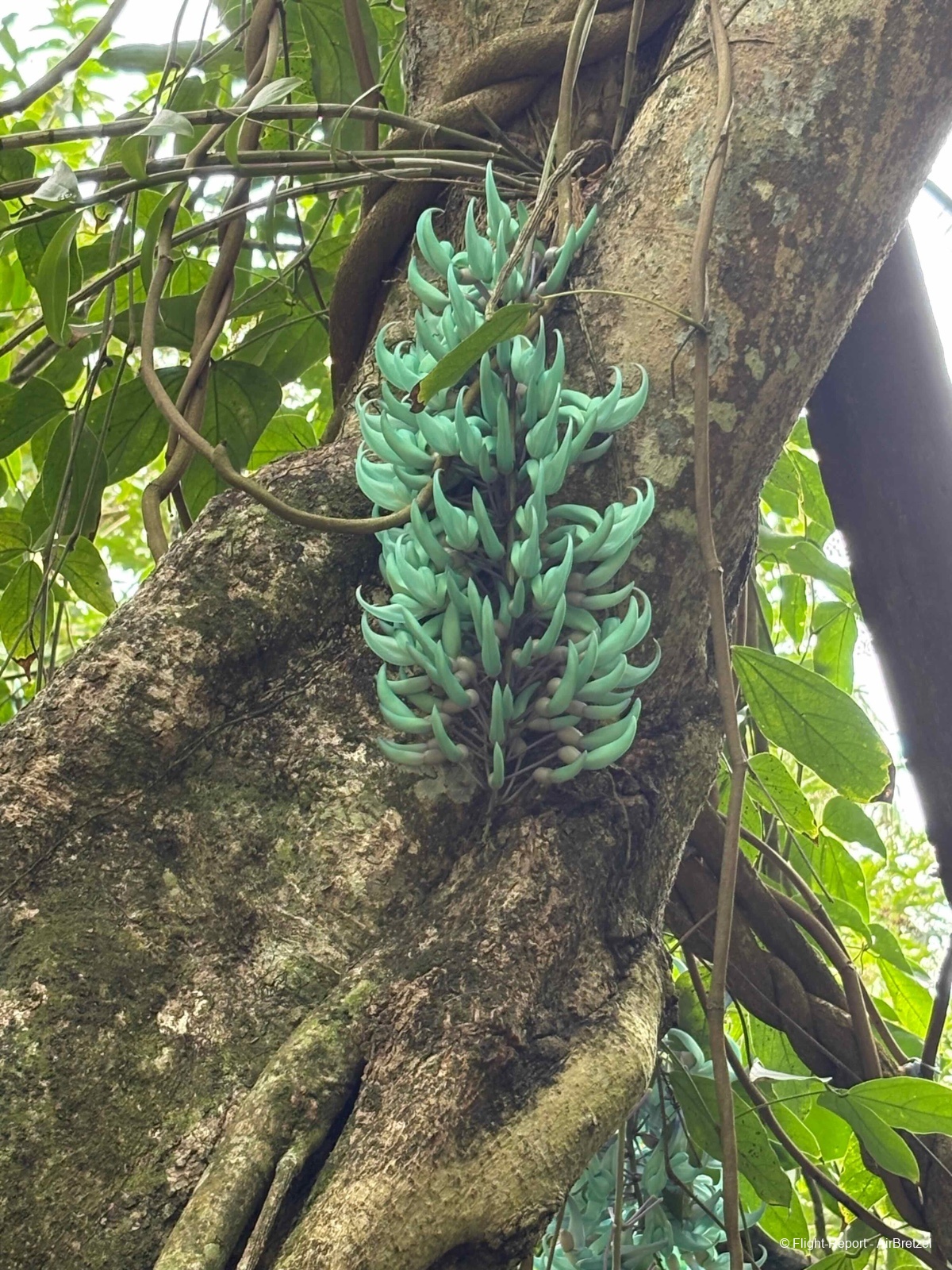 photo tempimagezwoshz