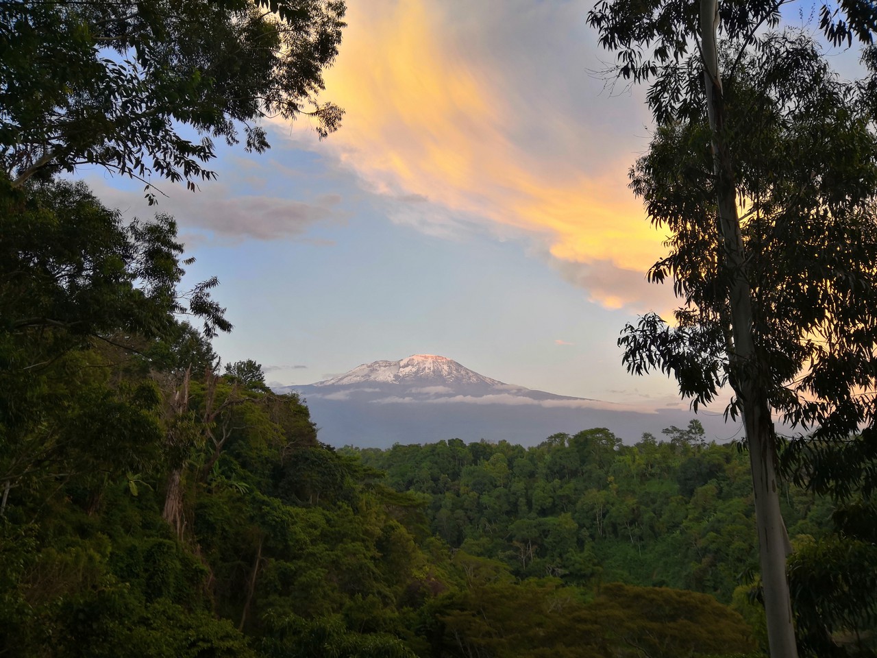 photo 009-kilimanjaro-143
