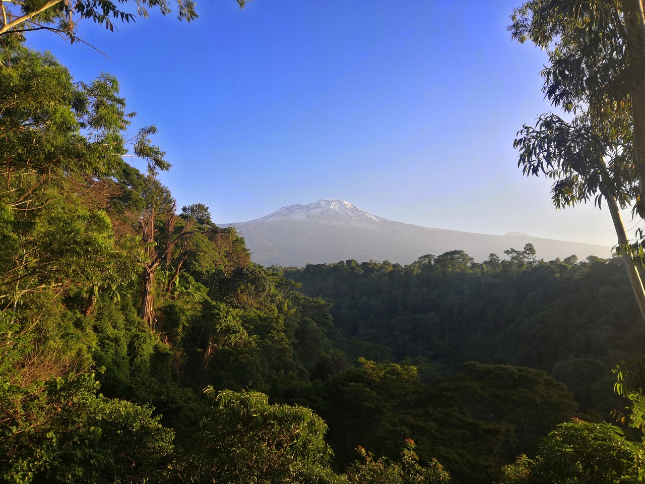 photo 009-kilimanjaro-87