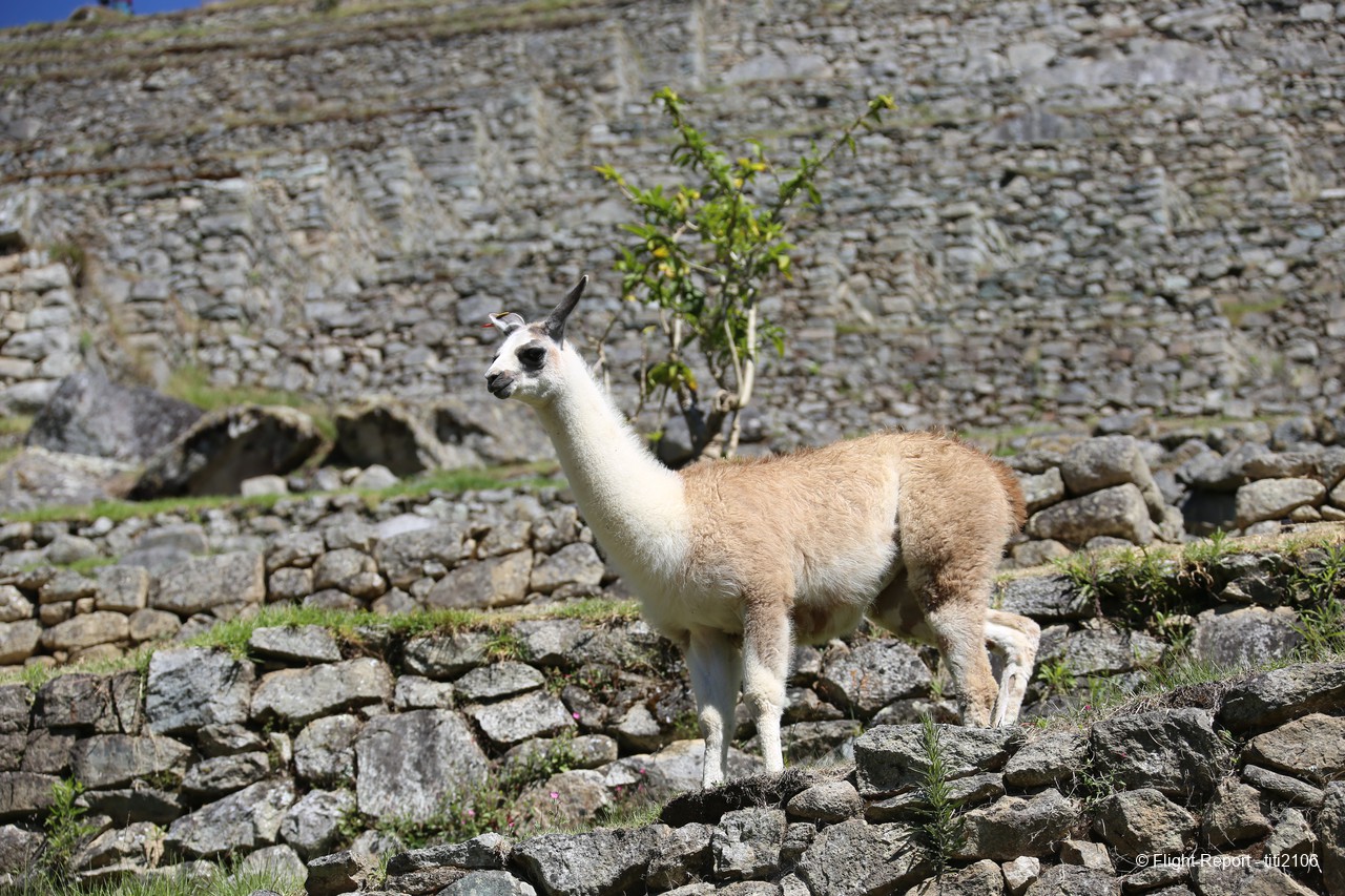 photo machu-picchu-et-cusco-507