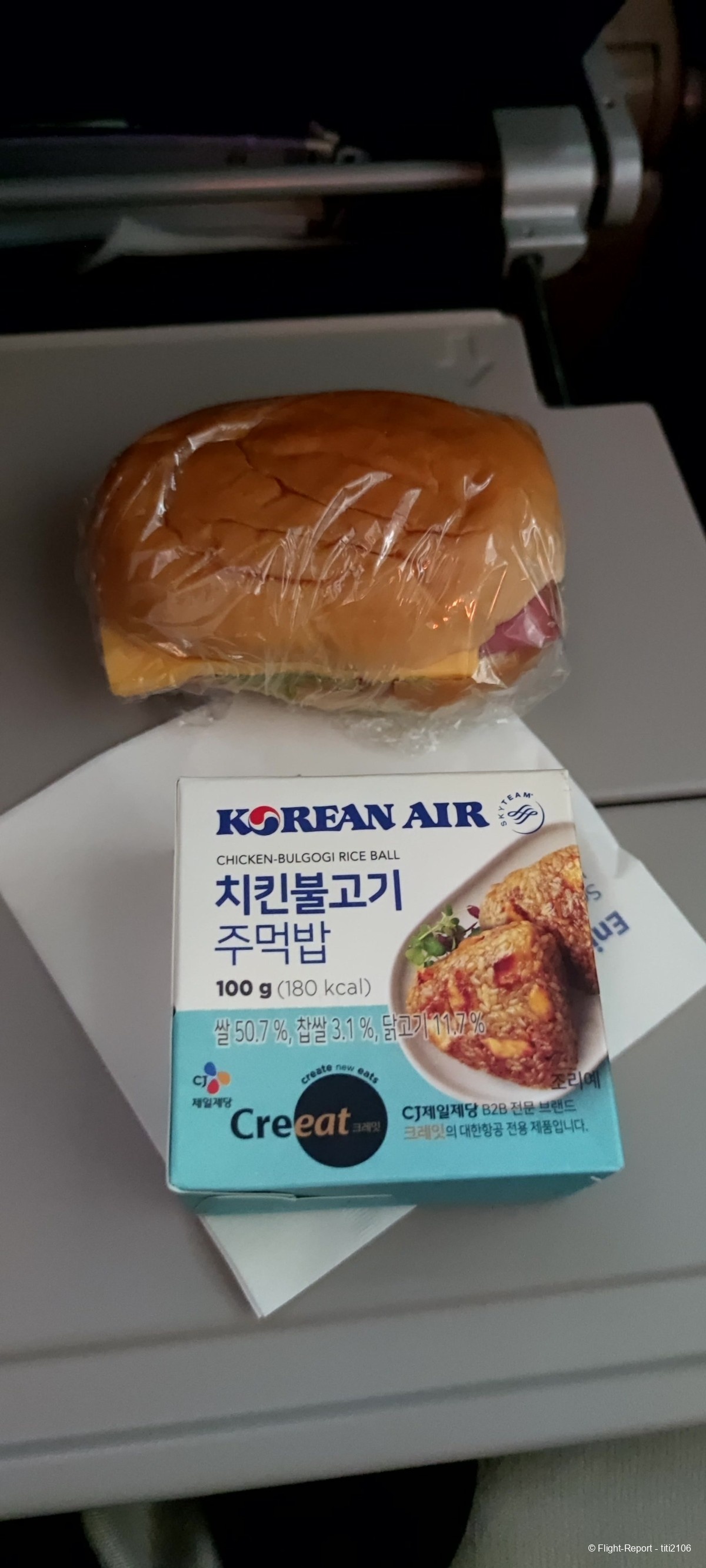 photo 15-korean-air-flight-seoul-cdg-498