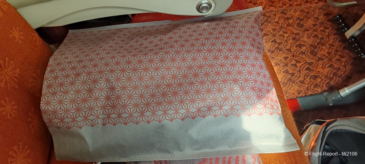 photo 001-air-india-cdg-del-12-09-25-97