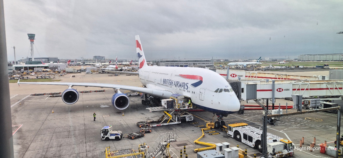 photo 20250920_102121