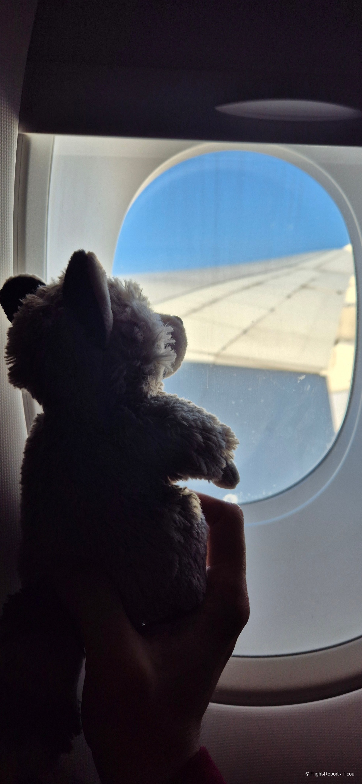 photo 20250920_165857