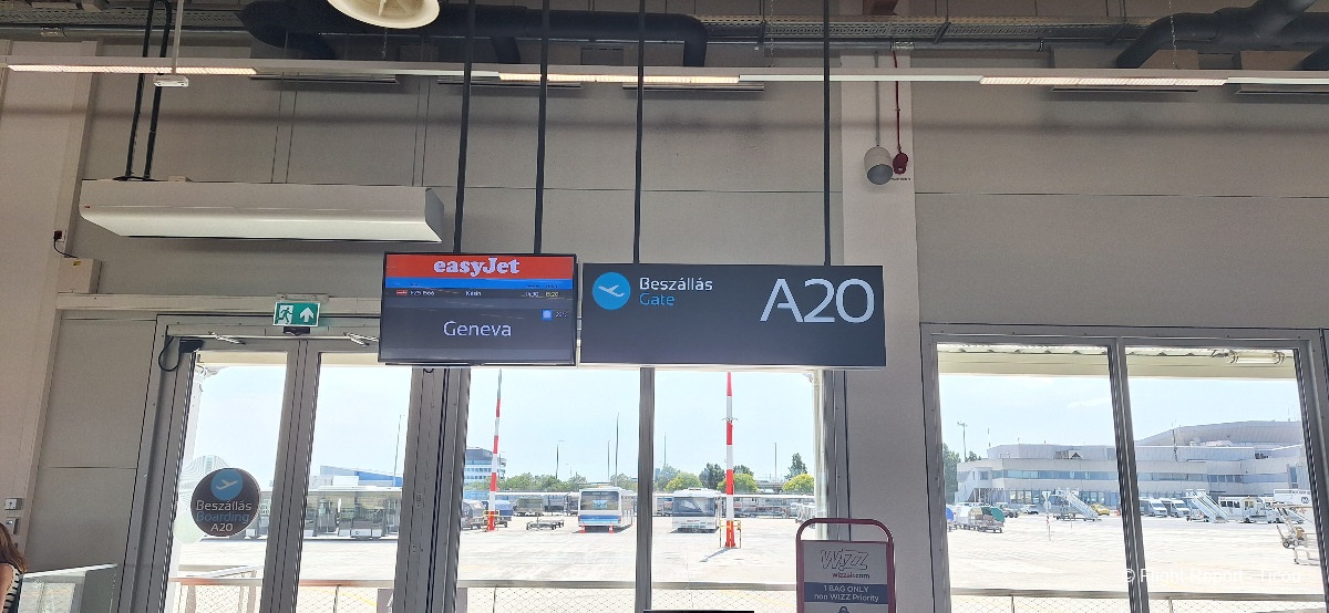 photo 20250616_143519