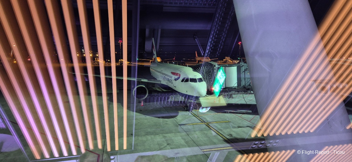 photo 20250920_0617560