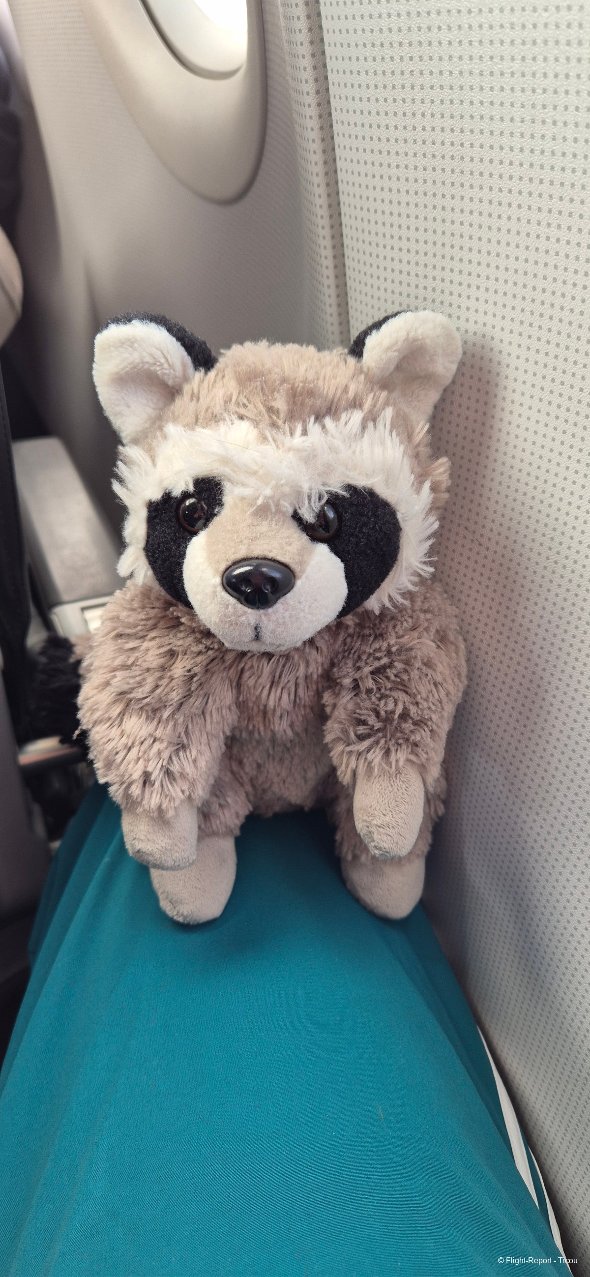 photo 20250920_075601