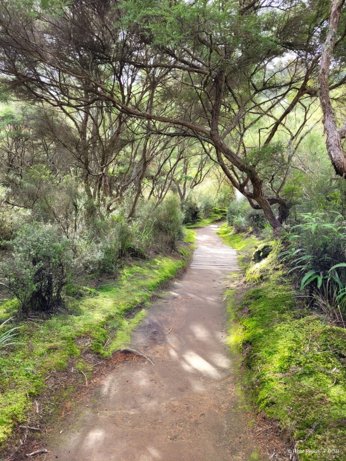 photo 20230714_121137
