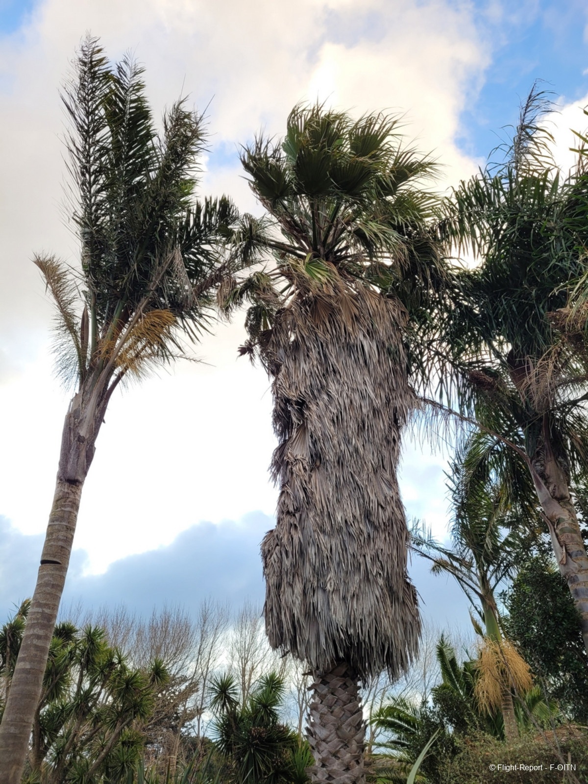 photo 20230716_165705
