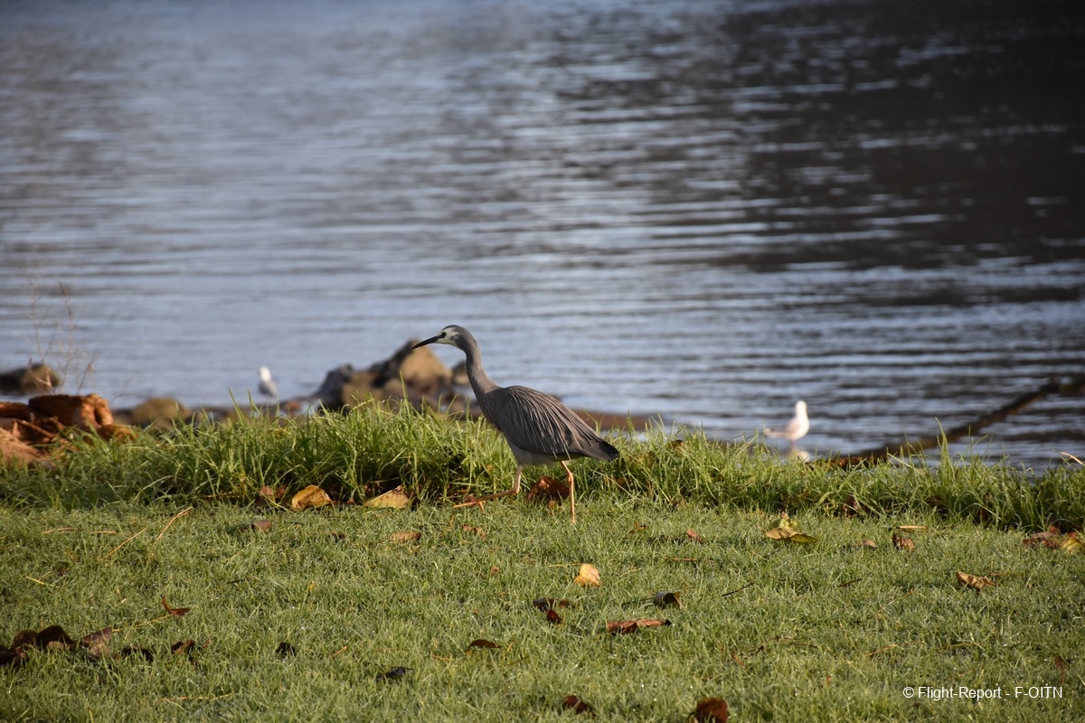 photo dsc_0152