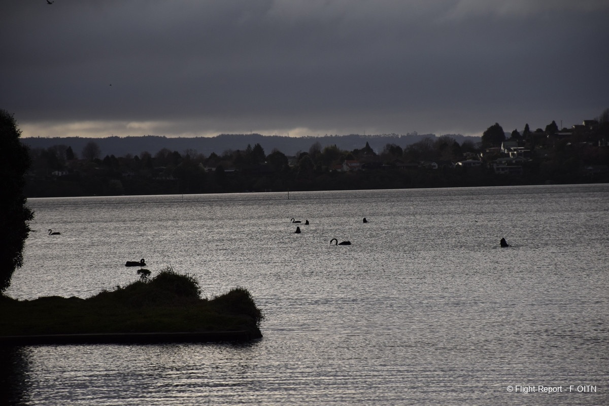 photo dsc_0234