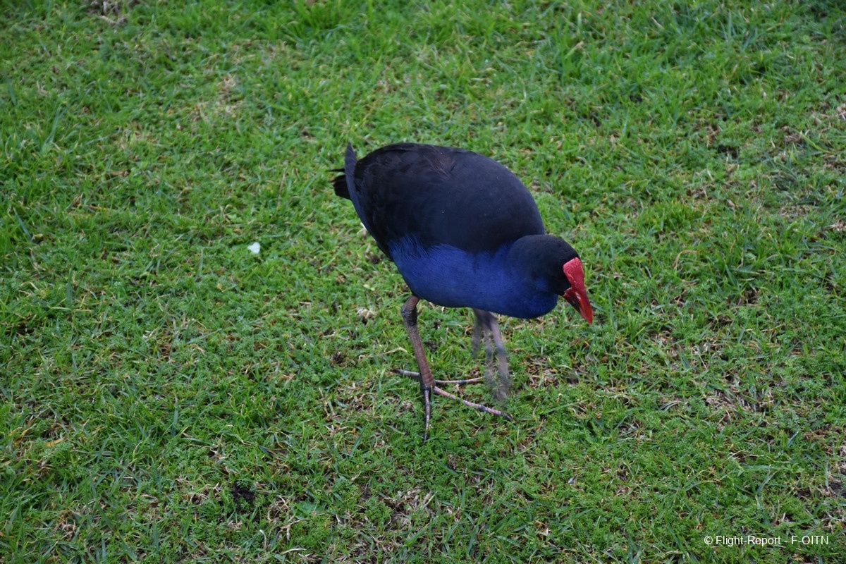 photo dsc_0320