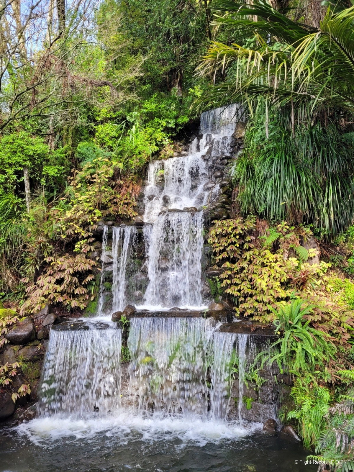 photo 20230720_115611