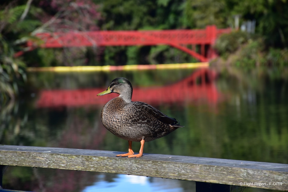photo dsc_0480