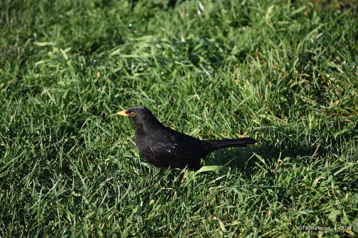 photo dsc_0070