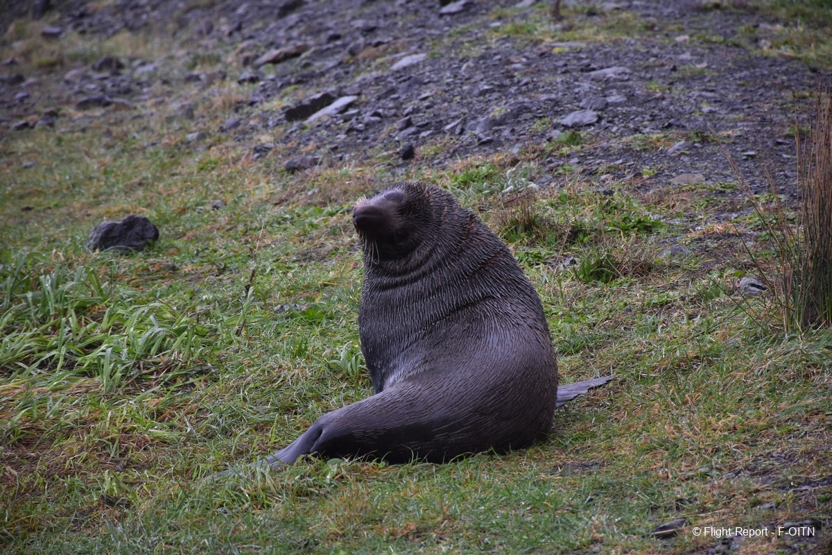 photo dsc_0600