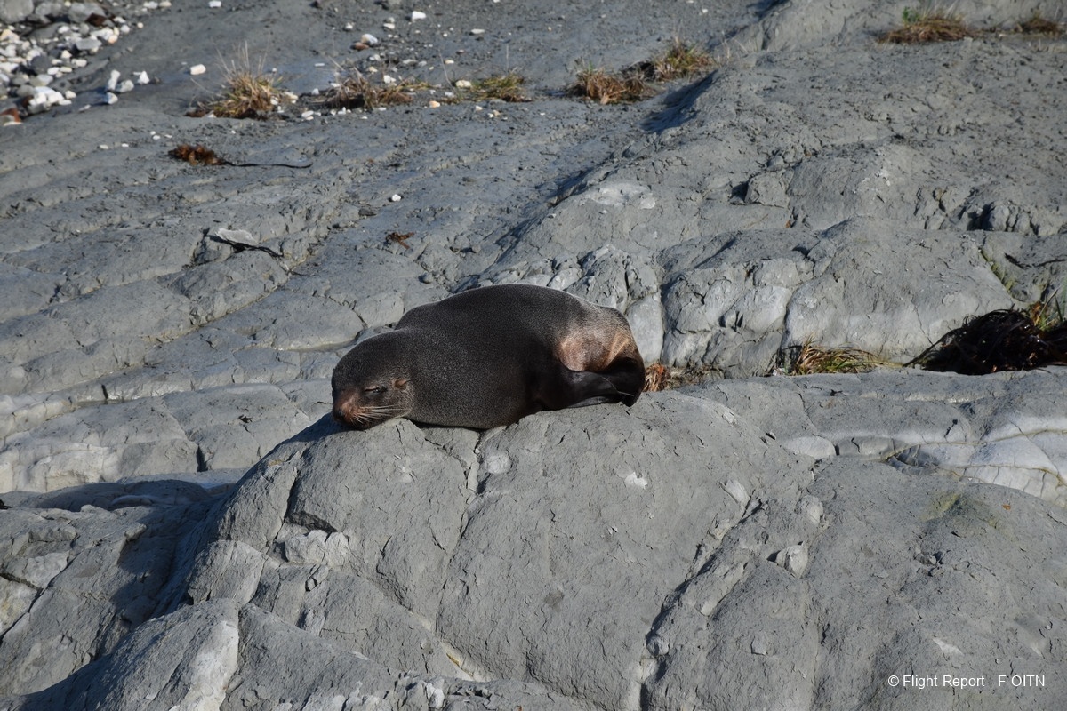 photo dsc_0918