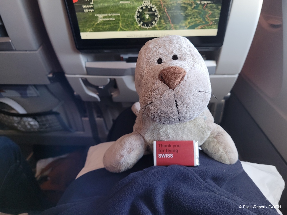 photo 20231022_204722