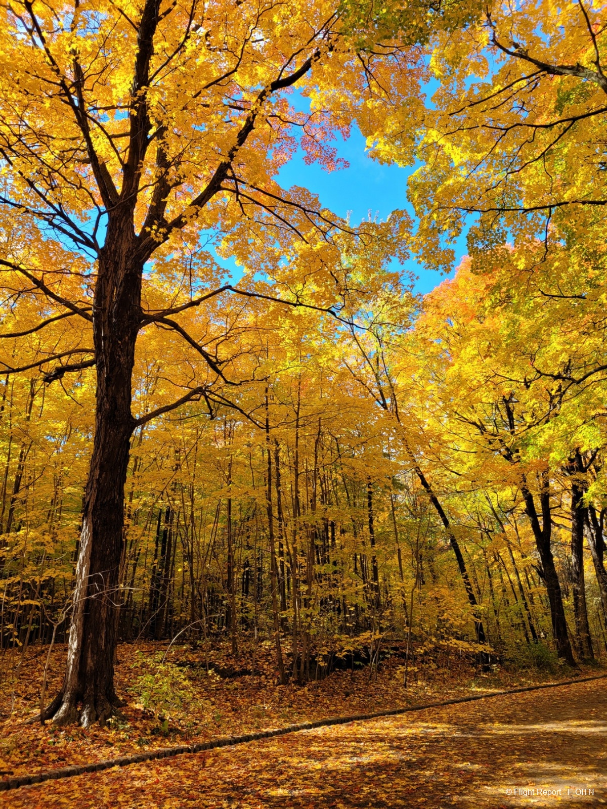 photo 20231023_140028