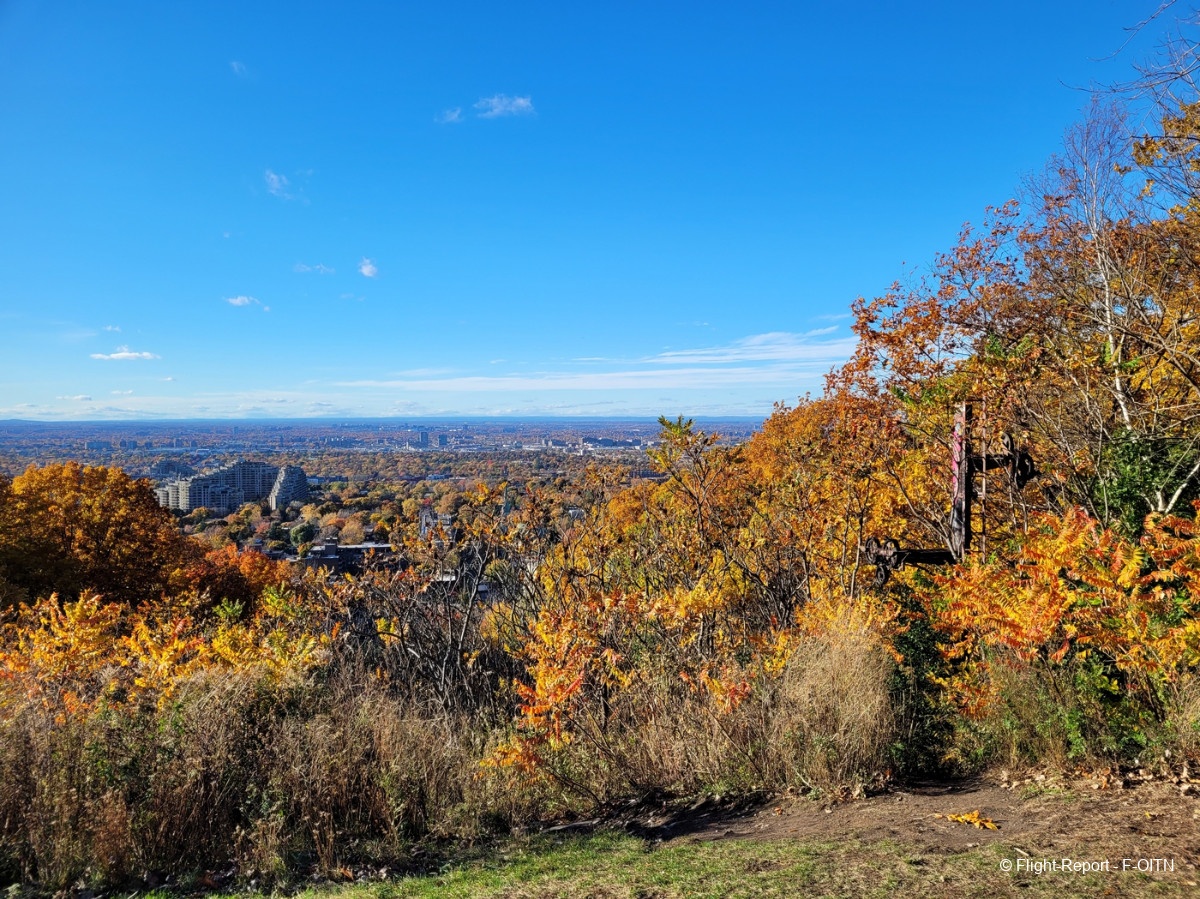 photo 20231028_155945