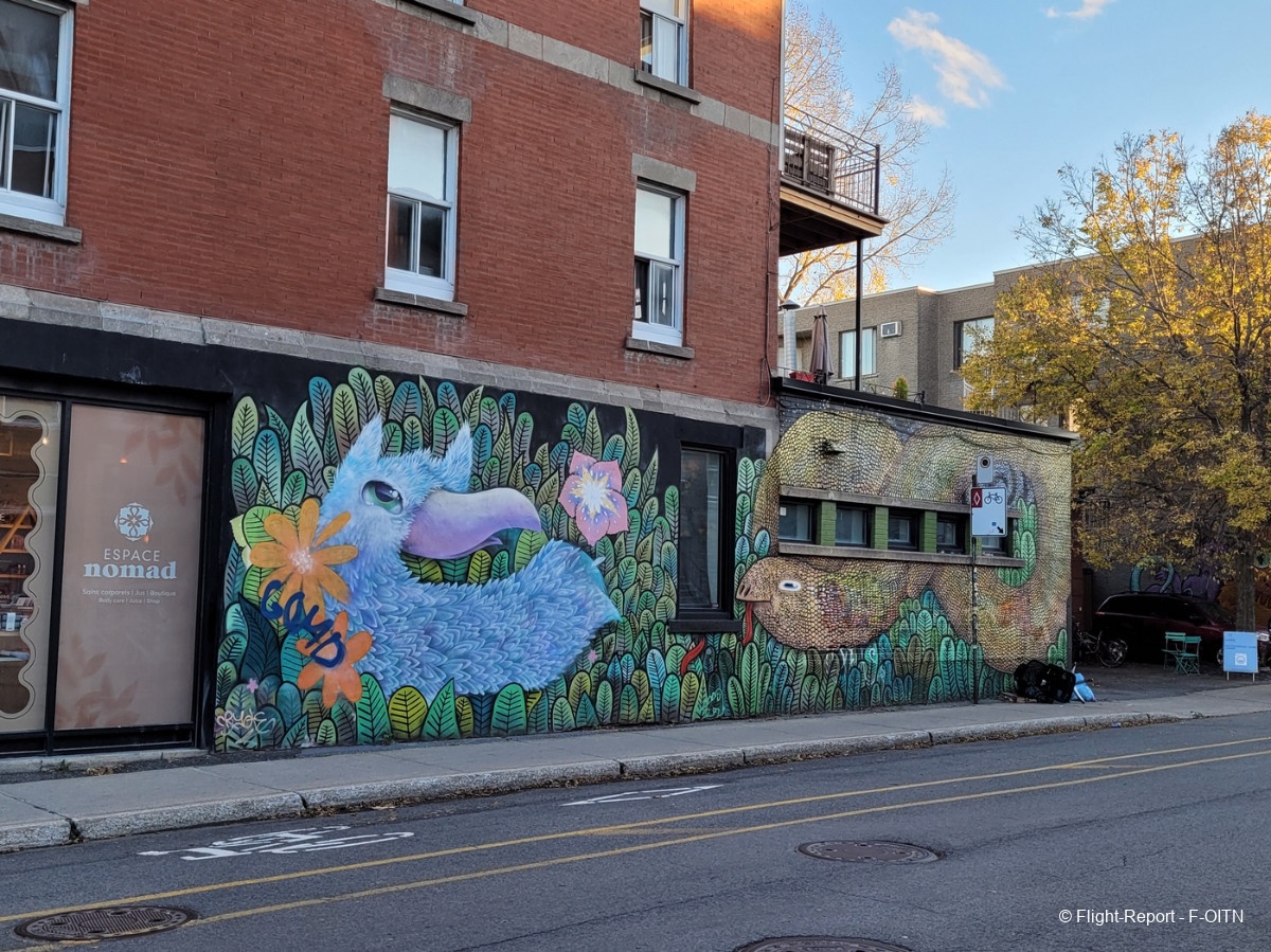 photo 20231028_171307