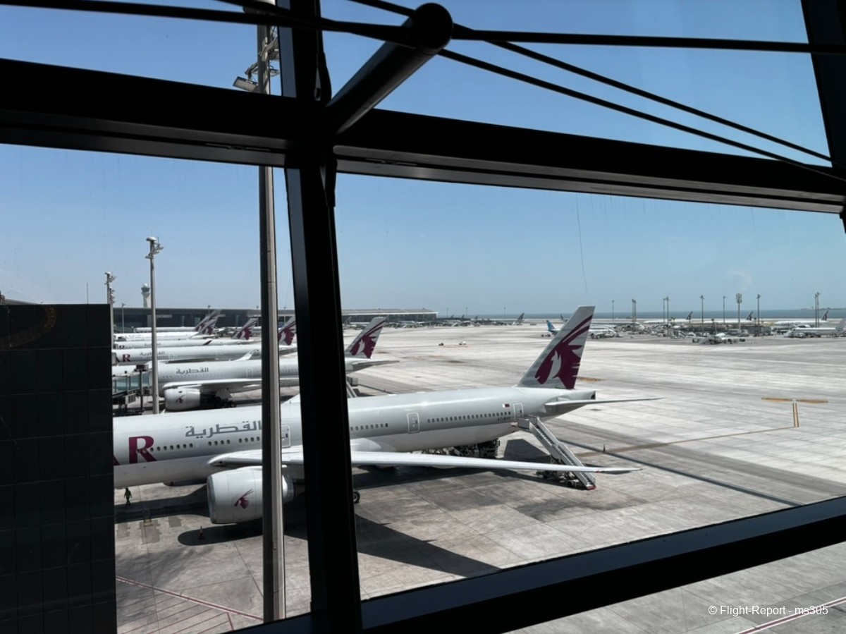 photo f36a4643-954c-4e78-88b0-8176ef64c950_1_105_c