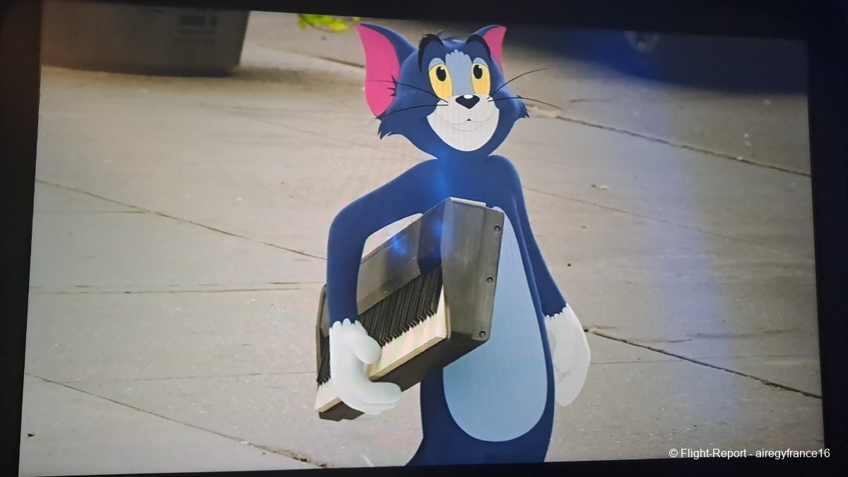 photo 20240316_154314