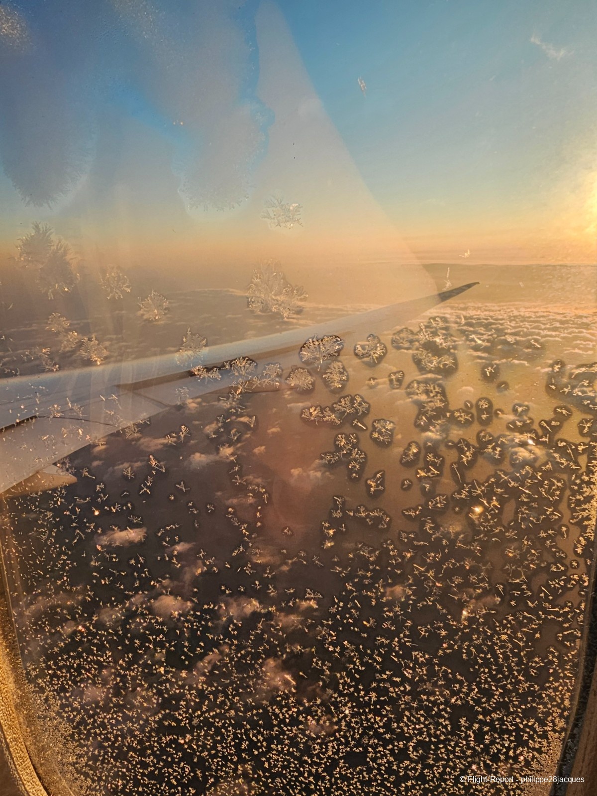 photo 1000017111